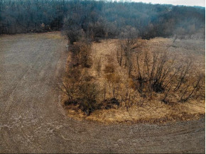 37+/- AC Mulderink Ln