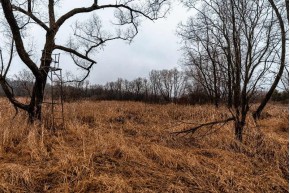 37+/- AC Mulderink Ln