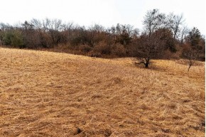 37+/- AC Mulderink Ln