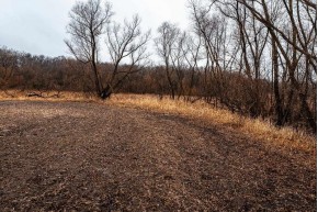 37+/- AC Mulderink Ln