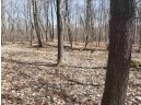 38.97 ACRES County Road D, Rock Springs, WI 53961