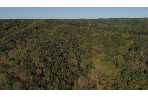 56 AC Tunnelville Rd, La Farge, WI 54639