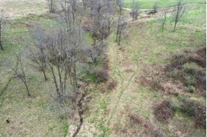 56+/- ACRES Miess Rd