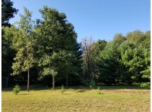 1159 Fawn Ct Grand Marsh, WI 53936