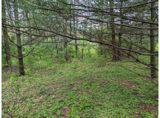 LOT 20 9th St Westfield, WI 53964