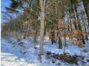 LOT 17 Pine Tree Rd, Monroe, WI 53566