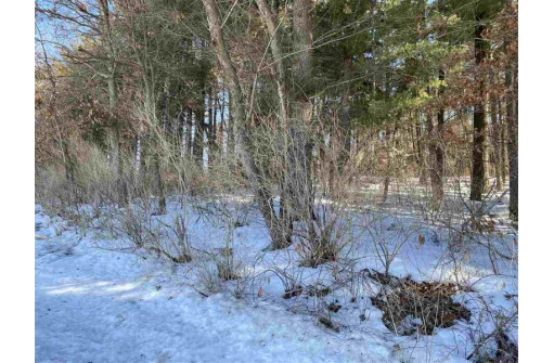 LOT 17 Pine Tree Rd, Monroe, WI 53566