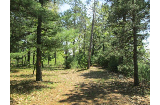 23.24 AC 20th Ave, Arkdale, WI 54613