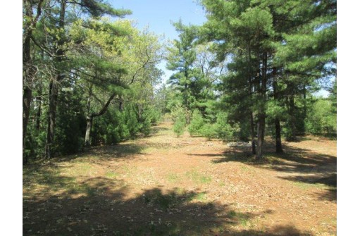 23.24 AC 20th Ave, Arkdale, WI 54613