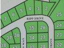 LOT 35 Ripp Dr, Black Earth, WI 53515