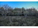 LOT 1 Bowers Lake Rd, Milton, WI 53563