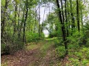 141.6 AC Chelleveld Rd, Ferryville, WI 54628