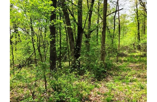 141.6 AC Chelleveld Rd, Ferryville, WI 54628