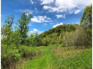 141.6 AC Chelleveld Rd Ferryville, WI 54628