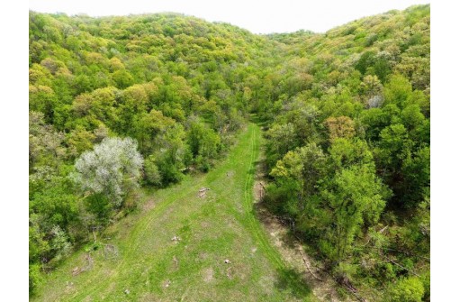 141.6 AC Chelleveld Rd, Ferryville, WI 54628