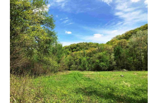 141.6 AC Chelleveld Rd, Ferryville, WI 54628