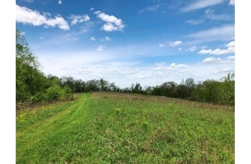 141.6 AC Chelleveld Rd, Ferryville, WI 54628