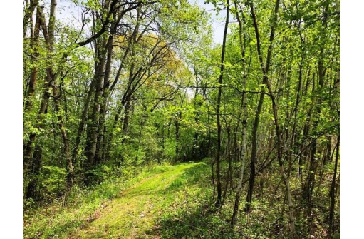 141.6 AC Chelleveld Rd, Ferryville, WI 54628