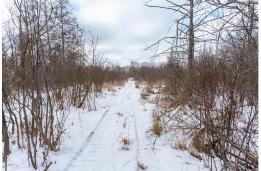 26.67 AC 20th Ave, Neshkoro, WI 54960