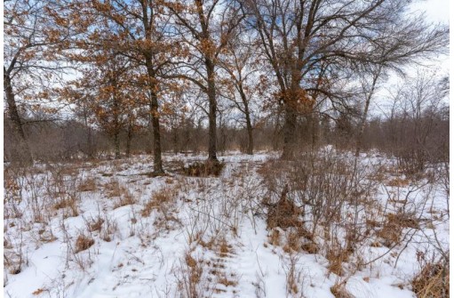 26.67 AC 20th Ave, Neshkoro, WI 54960