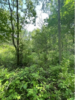 6.51 AC W Dutch Hollow Rd