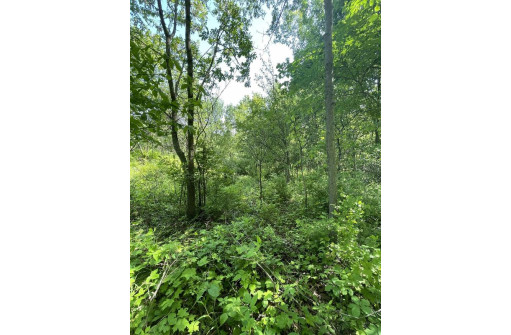 6.51 AC W Dutch Hollow Rd, La Valle, WI 53941