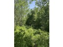 6.51 AC W Dutch Hollow Rd, La Valle, WI 53941