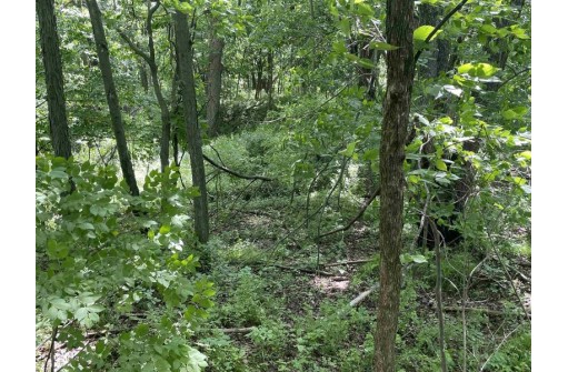 6.51 AC W Dutch Hollow Rd, La Valle, WI 53941