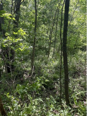 6.51 AC W Dutch Hollow Rd