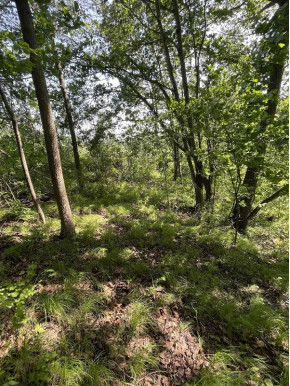 6.51 AC W Dutch Hollow Rd