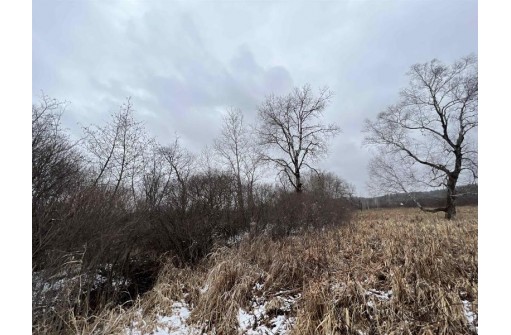 19.8+/- ACRES County Road C, Camp Douglas, WI 54618