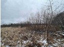 19.8+/- ACRES County Road C, Camp Douglas, WI 54618