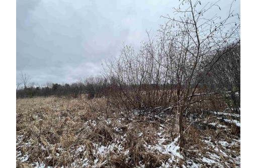 19.8+/- ACRES County Road C, Camp Douglas, WI 54618