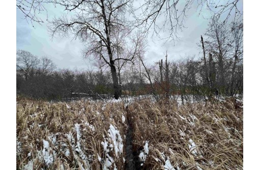 19.8+/- ACRES County Road C, Camp Douglas, WI 54618