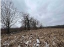 19.8+/- ACRES County Road C, Camp Douglas, WI 54618