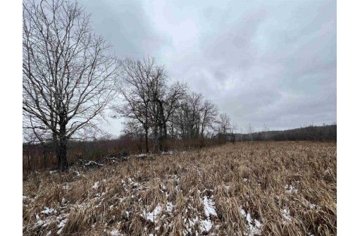 19.8+/- ACRES County Road C, Camp Douglas, WI 54618