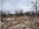 19.8+/- ACRES County Road C, Camp Douglas, WI 54618