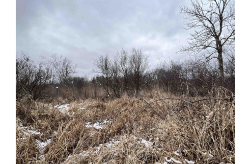 19.8+/- ACRES County Road C, Camp Douglas, WI 54618