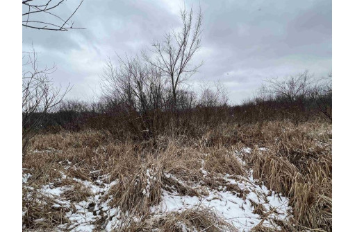 19.8+/- ACRES County Road C, Camp Douglas, WI 54618