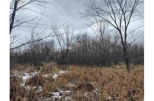 19.8+/- ACRES County Road C, Camp Douglas, WI 54618