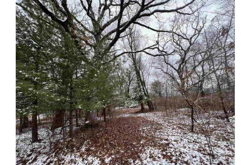 19.8+/- ACRES County Road C, Camp Douglas, WI 54618