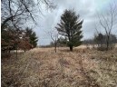 19.8+/- ACRES County Road C, Camp Douglas, WI 54618