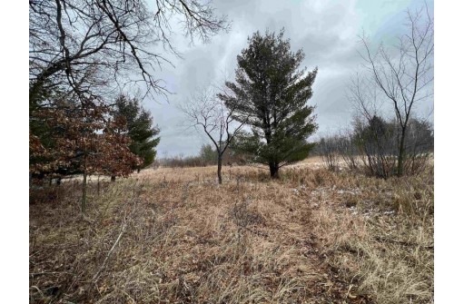 19.8+/- ACRES County Road C, Camp Douglas, WI 54618