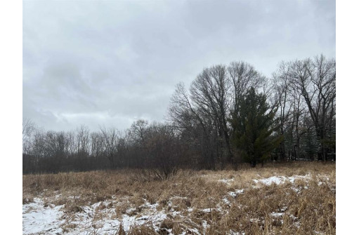 19.8+/- ACRES County Road C, Camp Douglas, WI 54618