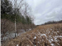 19.8+/- ACRES County Road C, Camp Douglas, WI 54618