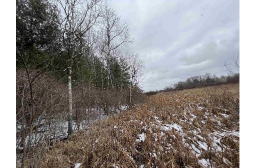 19.8+/- ACRES County Road C, Camp Douglas, WI 54618