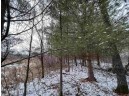 19.8+/- ACRES County Road C, Camp Douglas, WI 54618