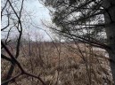 19.8+/- ACRES County Road C, Camp Douglas, WI 54618