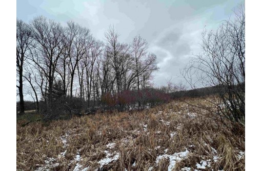 19.8+/- ACRES County Road C, Camp Douglas, WI 54618