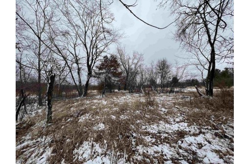 19.8+/- ACRES County Road C, Camp Douglas, WI 54618